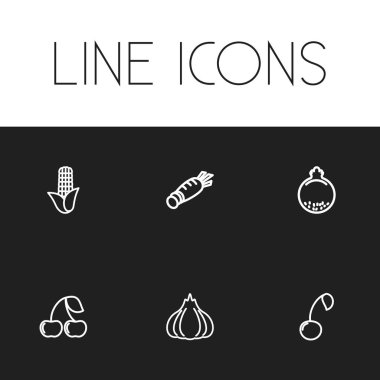 6 düzenlenebilir sebze anahat simgeler kümesi. Cherry, nar, sarımsak ve daha fazlası gibi simgeler içerir. Web, mobil, UI ve Infographic tasarımı için kullanılabilir.