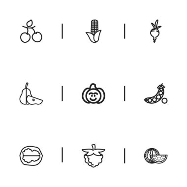 9 düzenlenebilir sebze anahat simgeler kümesi. Bezelye, Erik, ahududu ve daha fazlası gibi simgeler içerir. Web, mobil, UI ve Infographic tasarımı için kullanılabilir.