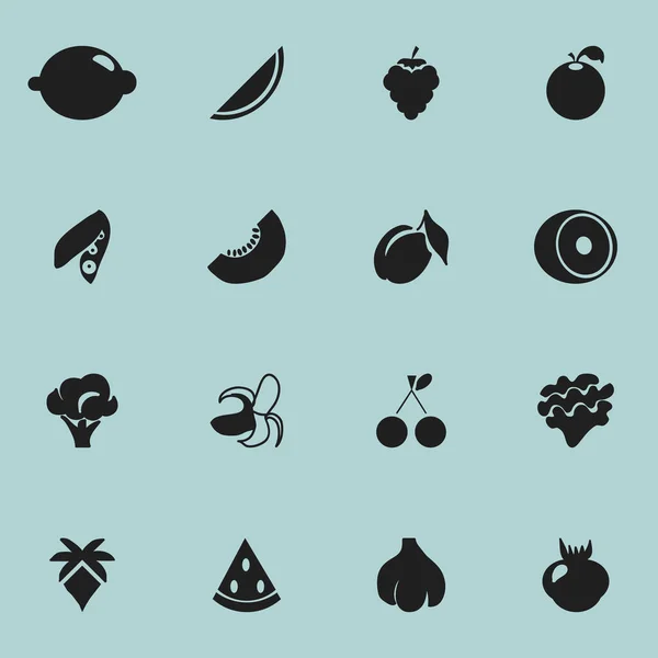 Set de 16 iconos de bayas editables. Incluye símbolos como el melón, la lechuga, el plátano y más. Puede ser utilizado para el diseño de la tela, móvil, interfaz de usuario e infografía . — Vector de stock