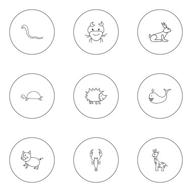 9 düzenlenebilir zooloji karalamalar kümesi. Uzun boylu hayvan, Urchin, ıstakoz ve daha fazlası gibi simgeler içerir. Web, mobil, UI ve Infographic tasarımı için kullanılabilir.