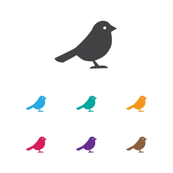 Ilustración vectorial del símbolo de la zoología en el icono del pájaro. Elemento Crow aislado de calidad premium en estilo plano de moda . — Vector de stock