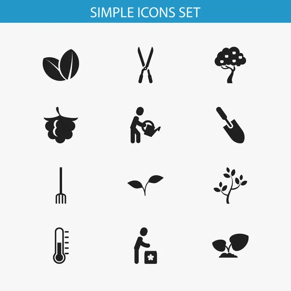 Conjunto de 12 ícones de plantação editáveis. Inclui símbolos como broto, planta do solo, mudas e muito mais. Pode ser usado para Web, Mobile, UI e design infográfico . — Vetor de Stock