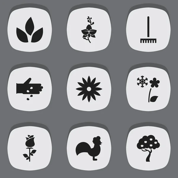 Набор из 9 редактируемых икон садоводства. Includes Symbols such as Blossom, Farm Tool, Rooster and More. Can be used for Web, Mobile, UI and Infographic Design . — стоковый вектор