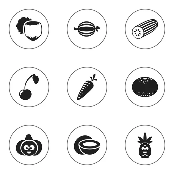 Conjunto de 9 Ícones de cozinha editáveis. Inclui símbolos como vegetais de raiz, pepino, zimbro e muito mais. Pode ser usado para Web, Mobile, UI e design infográfico . —  Vetores de Stock