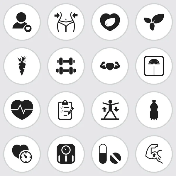 Set de 16 iconos deportivos editables. Incluye símbolos como entrenamiento, agua deportiva, perfil y más. Puede ser utilizado para el diseño de la tela, móvil, interfaz de usuario e infografía . — Vector de stock