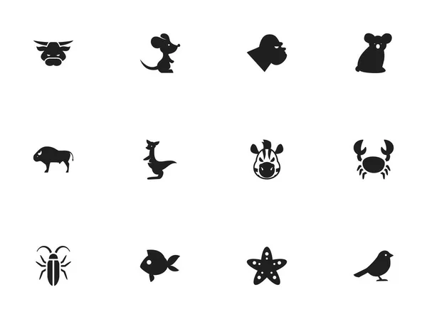 Set de 12 iconos animales editables. Incluye símbolos tales como canguro, caballo, insecto y más. Puede ser utilizado para el diseño de la tela, móvil, interfaz de usuario e infografía . — Vector de stock