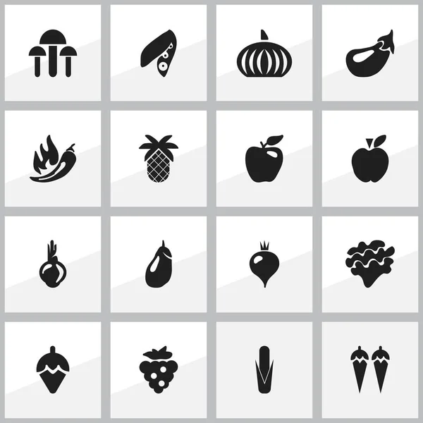 Conjunto de 16 ícones de baga editáveis. Inclui símbolos como pimentão, nabo, bacia de açúcar e muito mais. Pode ser usado para Web, Mobile, UI e design infográfico . —  Vetores de Stock