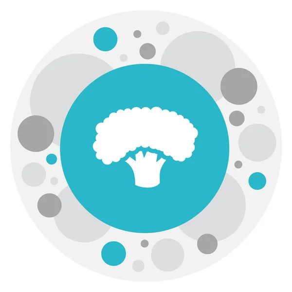 Illustration vectorielle du symbole d'ustensiles de cuisine sur l'icône de brocoli. Élément d'arbre isolé de qualité supérieure dans un style plat à la mode . — Image vectorielle