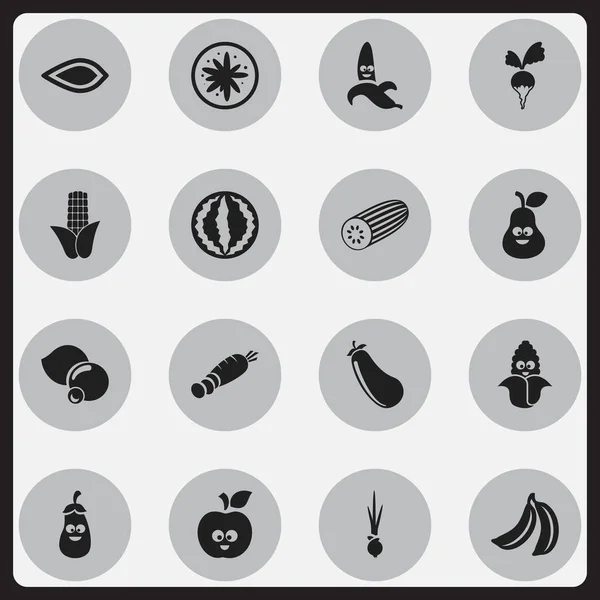 Set de 16 iconos de utensilios editables. Incluye símbolos como arándano, maíz, fruta de la selva y más. Puede ser utilizado para el diseño de la tela, móvil, interfaz de usuario e infografía . — Archivo Imágenes Vectoriales