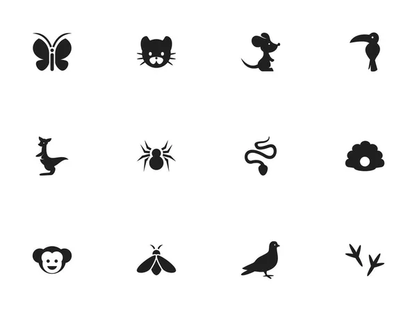 編集可能な 12 の動物アイコンのセットです。フット プリント、クモ、蛇などの記号が含まれています。ウェブ、モバイル、Ui とインフォ グラフィック デザインに使用することができます。. — ストックベクタ