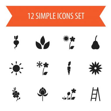 12 düzenlenebilir Bahçe simgeler kümesi. Bio, Frosts, dekoratif gibi simgeler içerir ve daha fazlası. Web, mobil, UI ve Infographic tasarımı için kullanılabilir.