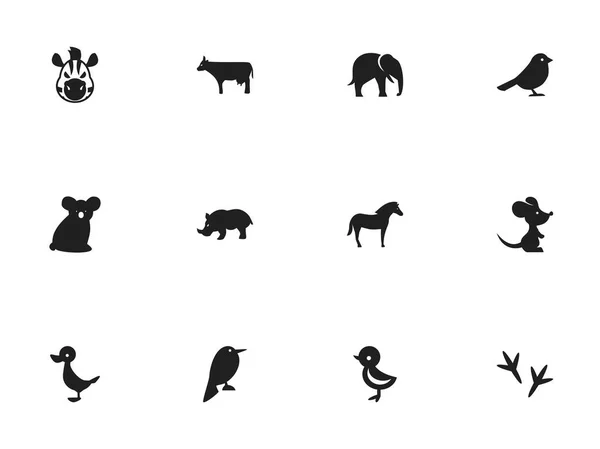Satz von 12 editierbaren Zoologie-Symbolen. enthält Symbole wie Kinn, Maus, Krähe und mehr. kann für Web-, Mobil-, UI- und Infografik-Design verwendet werden. — Stockvektor