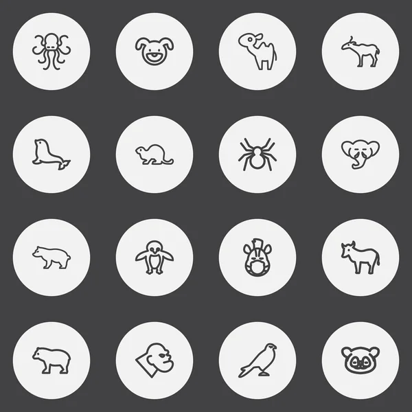 Conjunto de 16 iconos de contorno animal editables. Incluye símbolos como el castor, la probóscis, el pez perro y más. Puede ser utilizado para el diseño de la tela, móvil, interfaz de usuario e infografía . — Archivo Imágenes Vectoriales