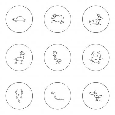 9 düzenlenebilir Hayvanat Bahçesi karalamalar kümesi. Ewe, Pelikan, kanser ve daha fazlası gibi simgeler içerir. Web, mobil, UI ve Infographic tasarımı için kullanılabilir.