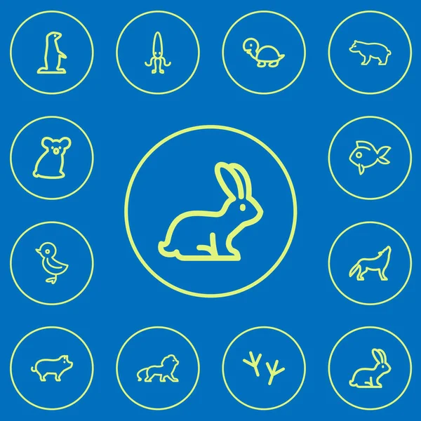 Ensemble de 12 icônes de contour de zoo modifiables. Comprend des symboles tels que prédateur, tortue, oiseau et plus encore. Peut être utilisé pour le Web, mobile, interface utilisateur et infographie . — Image vectorielle
