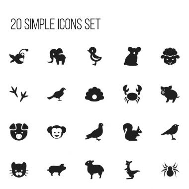 20 düzenlenebilir zooloji simgeler kümesi. Güvercin, vahşi kemirgen, kabuklu ve daha fazlası gibi simgeler içerir. Web, mobil, UI ve Infographic tasarımı için kullanılabilir.