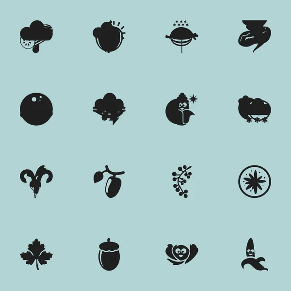 Conjunto de 16 ícones de utensílios de cozinha editáveis. Inclui símbolos como ameixa, nectarina, zimbro e muito mais. Pode ser usado para Web, Mobile, UI e design infográfico . —  Vetores de Stock
