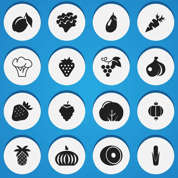 Set med 16 redigerbara frukt ikoner. Innehåller symboler som druva, Merlot, lampa och mer. Kan användas för webb-, mobil-, Ui- och Infographic Design. — Stock vektor