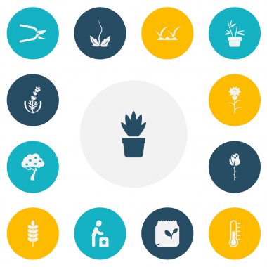 13 düzenlenebilir dikim simgeler kümesi. Çiçek, saksı, yaprak ve daha fazlası gibi simgeler içerir. Web, mobil, UI ve Infographic tasarımı için kullanılabilir.