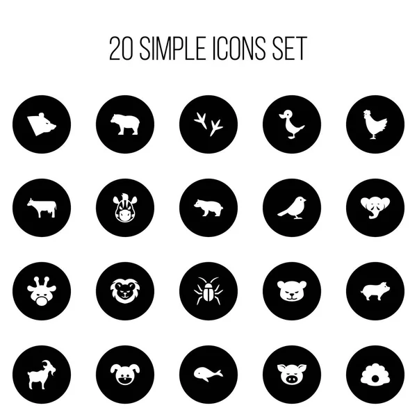 Set Of 20 Editable Animal Icons. Includes Symbols Such As Proboscis, Panda, Pig. Can Be Used For Web, Mobile, UI And Infographic Design. — Stock Vector