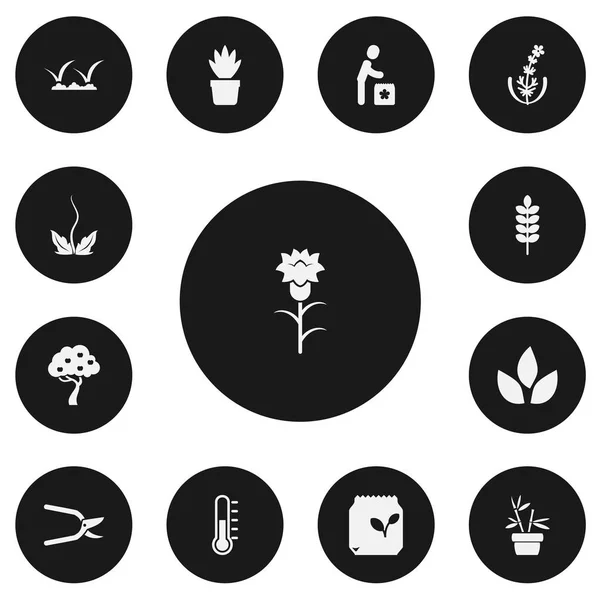 Set di 13 icone di piantagione modificabili. Include simboli come prato, boschi di frutta, lilla e altro ancora. Può essere utilizzato per la progettazione web, mobile, UI e infografica . — Vettoriale Stock