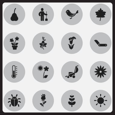16 düzenlenebilir Bahçe simgeler kümesi. Lily, Serçe, yaprak ve daha fazlası gibi simgeler içerir. Web, mobil, UI ve Infographic tasarımı için kullanılabilir.