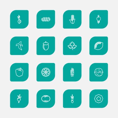 16 düzenlenebilir mutfak eşyaları anahat simgeleri ayarlayın. Sarımsak, narenciye, dilimlenmiş dilimlenmiş domates ve daha fazla gibi simgeleri içerir. Web, mobil, UI ve Infographic tasarımı için kullanılabilir.