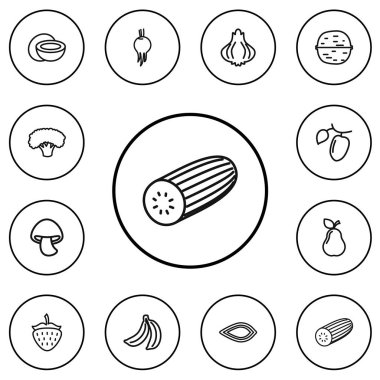 12 düzenlenebilir sebze anahat simgeler kümesi. Tatlı soğan, ağaç, badem ve daha fazlası gibi simgeler içerir. Web, mobil, UI ve Infographic tasarımı için kullanılabilir.