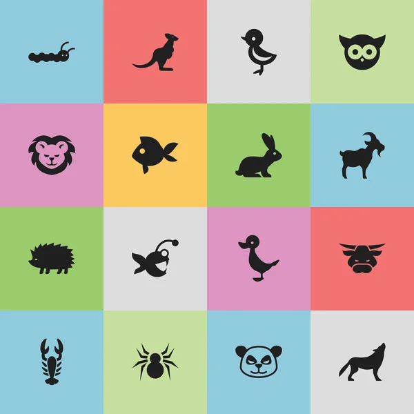 Set de 16 iconos editables de Zoología. Incluye símbolos como Wallaby, Night Fowl, Buey y más. Puede ser utilizado para el diseño de la tela, móvil, interfaz de usuario e infografía . — Archivo Imágenes Vectoriales