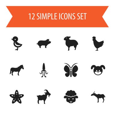 12 düzenlenebilir hayvan simgeler kümesi. Domuz, kuş, aygır ve daha fazlası gibi simgeler içerir. Web, mobil, UI ve Infographic tasarımı için kullanılabilir.