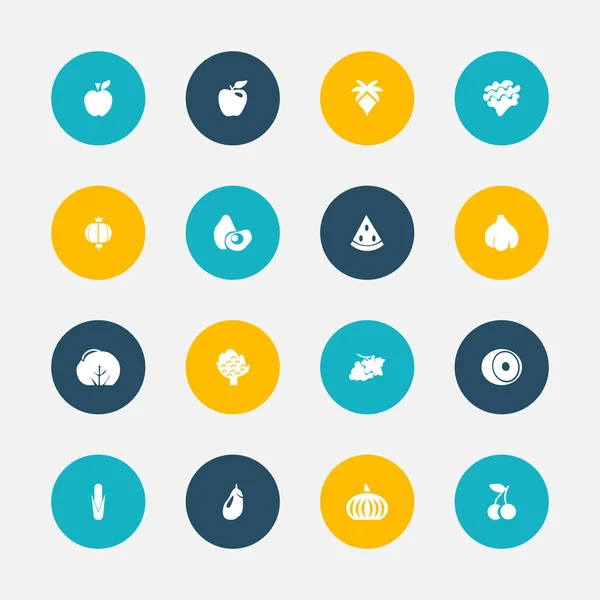 Set di 16 icone di bacche modificabili. Include simboli come limone, palma, papaia e altro ancora. Può essere utilizzato per la progettazione web, mobile, UI e infografica . — Vettoriale Stock