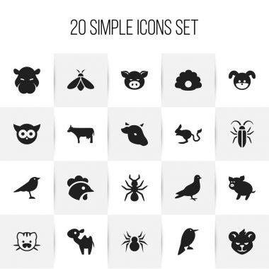 20 düzenlenebilir Hayvanat Bahçesi simgeler kümesi. Örümcek, araptavşanı, canavar ve daha fazlası gibi simgeler içerir. Web, mobil, UI ve Infographic tasarımı için kullanılabilir.