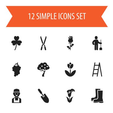 12 düzenlenebilir tarım simgeler kümesi. Trefoil, küme, tipik ve daha fazlası gibi simgeler içerir. Web, mobil, UI ve Infographic tasarımı için kullanılabilir.