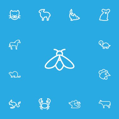 13 düzenlenebilir hayvan anahat simgeler kümesi. Horoz, kemirgen çöl, Zebra ve daha fazlası gibi simgeler içerir. Web, mobil, UI ve Infographic tasarımı için kullanılabilir.
