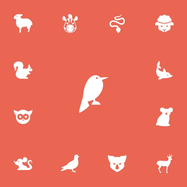 Conjunto de 13 iconos editables del zoológico. Incluye símbolos como aves nocturnas, palomas, ovejas y más. Puede ser utilizado para el diseño de la tela, móvil, interfaz de usuario e infografía . — Archivo Imágenes Vectoriales