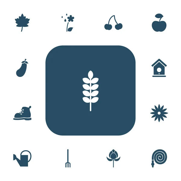 Conjunto de 13 iconos de agricultura editables. Incluye símbolos como Frond, Birdhouse, Hay Fork y más. Puede ser utilizado para el diseño de la tela, móvil, interfaz de usuario e infografía . — Vector de stock