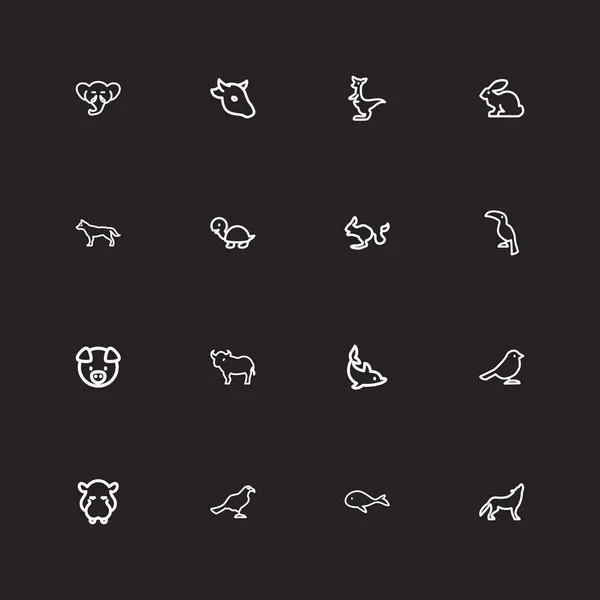 Набор из 16-ти значков контуров животных. Включает такие символы, как кенгуру, волк, тукан и многое другое. Can be used for Web, Mobile, UI and Infographic Design . — стоковый вектор