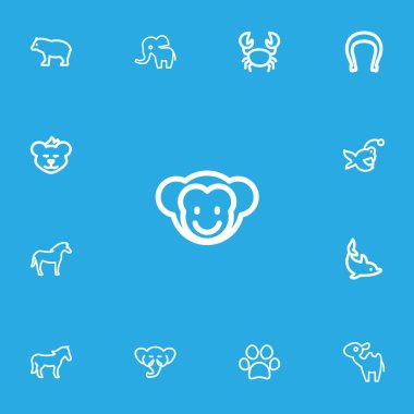 13 düzenlenebilir hayvan anahat simgeler kümesi. Balık, puma, fil ve daha fazlası gibi simgeler içerir. Web, mobil, UI ve Infographic tasarımı için kullanılabilir.