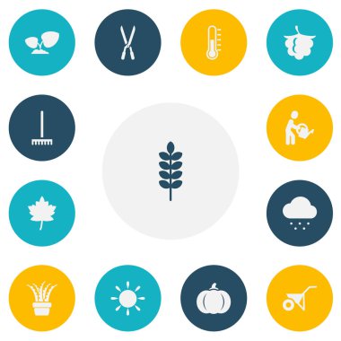 13 düzenlenebilir Bahçe simgeler kümesi. Güneş, bulutsuz, çiftlik aracı gibi simgeler içerir. Web, mobil, UI ve Infographic tasarımı için kullanılabilir.
