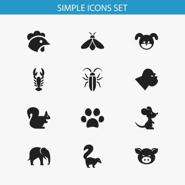 12 düzenlenebilir Hayvanat Bahçesi simgeler kümesi. Hatlı hayvan, horoz, Forepaw ve daha fazlası gibi simgeler içerir. Web, mobil, UI ve Infographic tasarımı için kullanılabilir.