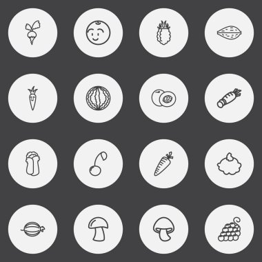 16 düzenlenebilir pişirme anahat simgeler kümesi. Kiraz, şeftali, Cep ve daha fazlası gibi simgeler içerir. Web, mobil, UI ve Infographic tasarımı için kullanılabilir.