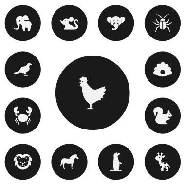 13 düzenlenebilir Hayvanat Bahçesi simgeler kümesi. Kabuklu, hortum, martı ve daha fazlası gibi simgeler içerir. Web, mobil, UI ve Infographic tasarımı için kullanılabilir.