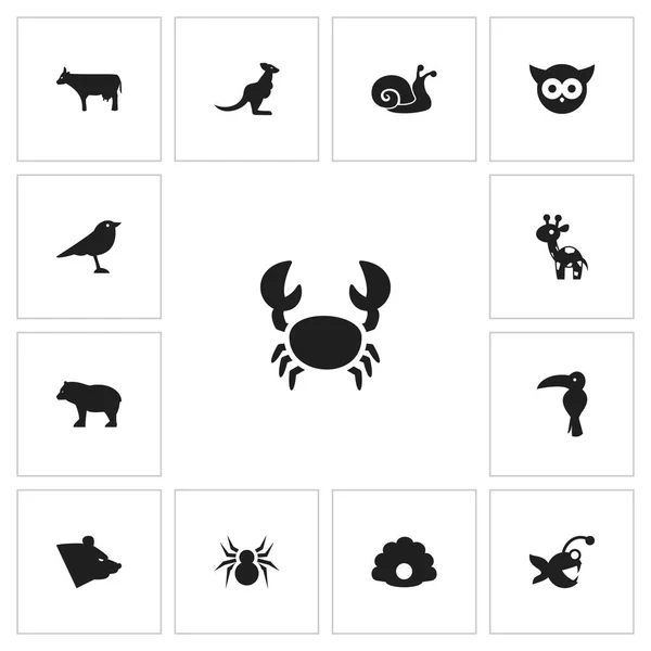 Set de 13 iconos animales editables. Incluye símbolos como Arácnido, Peces, Kine y más. Puede ser utilizado para el diseño de la tela, móvil, interfaz de usuario e infografía . — Archivo Imágenes Vectoriales