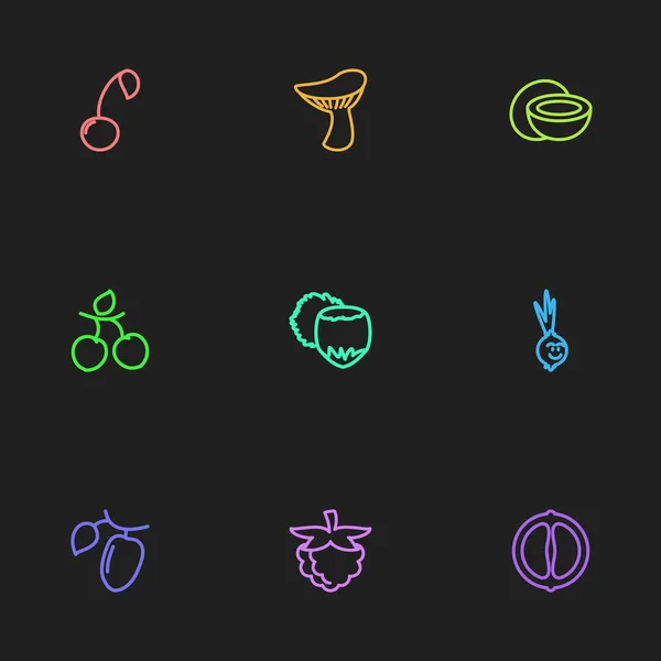Conjunto de 9 iconos de esquemas vegetales editables. Incluye símbolos como champiñones, mandarín, cebolla cómica. Puede ser utilizado para el diseño de la tela, móvil, interfaz de usuario e infografía . — Vector de stock