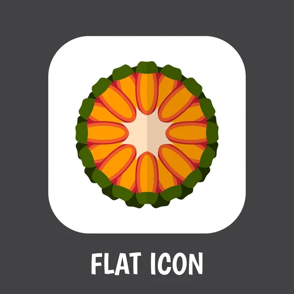 Vector Illustration Of Berry Symbol On Tropical Fruit Flat Icon. Premium Quality Isolated Guava Element In Trendy Flat Style. — Stock Vector