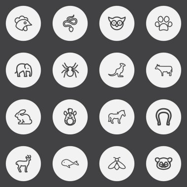 16 düzenlenebilir hayvan anahat simgeler kümesi. Horoz, değer değiştirici, Steed ve daha fazlası gibi simgeler içerir. Web, mobil, UI ve Infographic tasarımı için kullanılabilir.