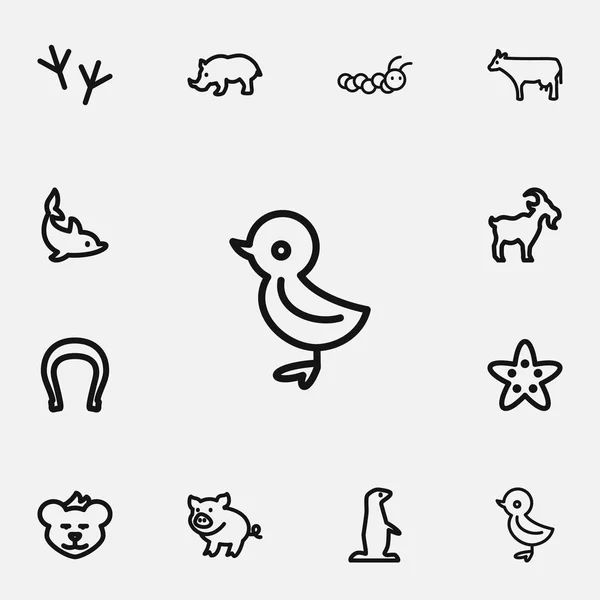 Conjunto de 12 iconos de contorno del zoológico editables. Incluye símbolos como rinocerontes, rastros de aves, herradura y más. Puede ser utilizado para el diseño de la tela, móvil, interfaz de usuario e infografía . — Vector de stock