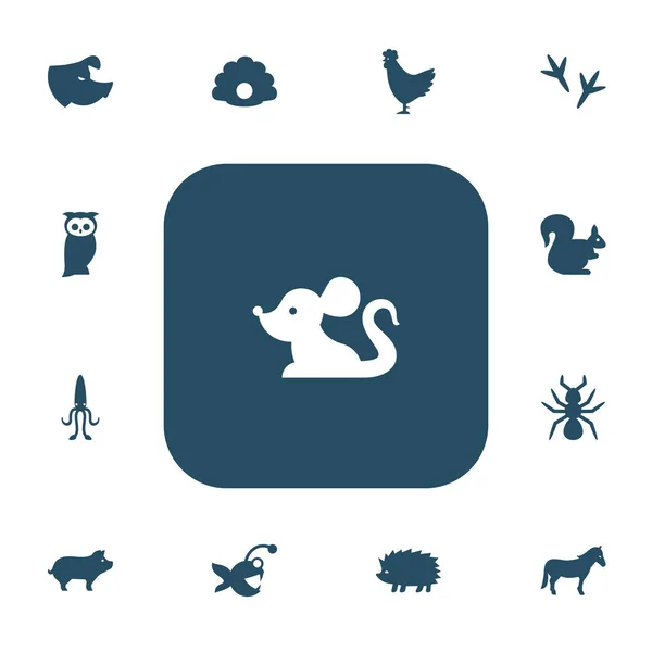 Set de 13 iconos animales editables. Incluye símbolos como la huella, el pescado, la polla y más. Puede ser utilizado para el diseño de la tela, móvil, interfaz de usuario e infografía . — Archivo Imágenes Vectoriales