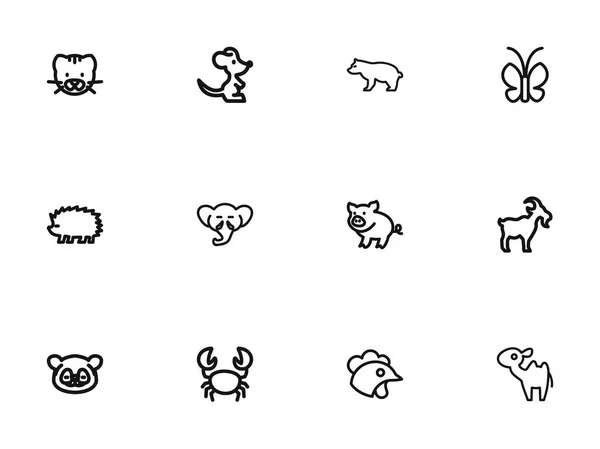 Satz von 12 editierbaren Zoologie-Umriss-Symbolen. enthält Symbole wie Raubtier, Stachelschwein, Rüssel und mehr. kann für Web-, Mobil-, UI- und Infografik-Design verwendet werden. — Stockvektor
