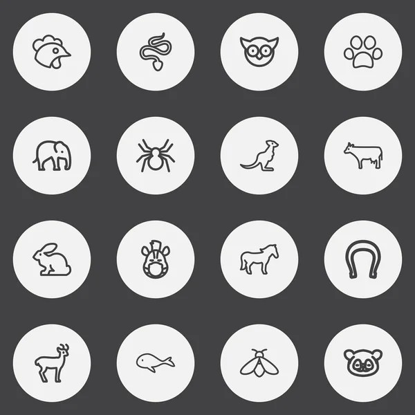 Conjunto de 16 iconos de contorno animal editables. Incluye símbolos como Cockerel, Spinner, Steed y más. Puede ser utilizado para el diseño de la tela, móvil, interfaz de usuario e infografía . — Archivo Imágenes Vectoriales